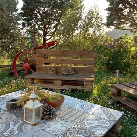 Agriturismo Santa Bruna Volterra Eksteriør bilde
