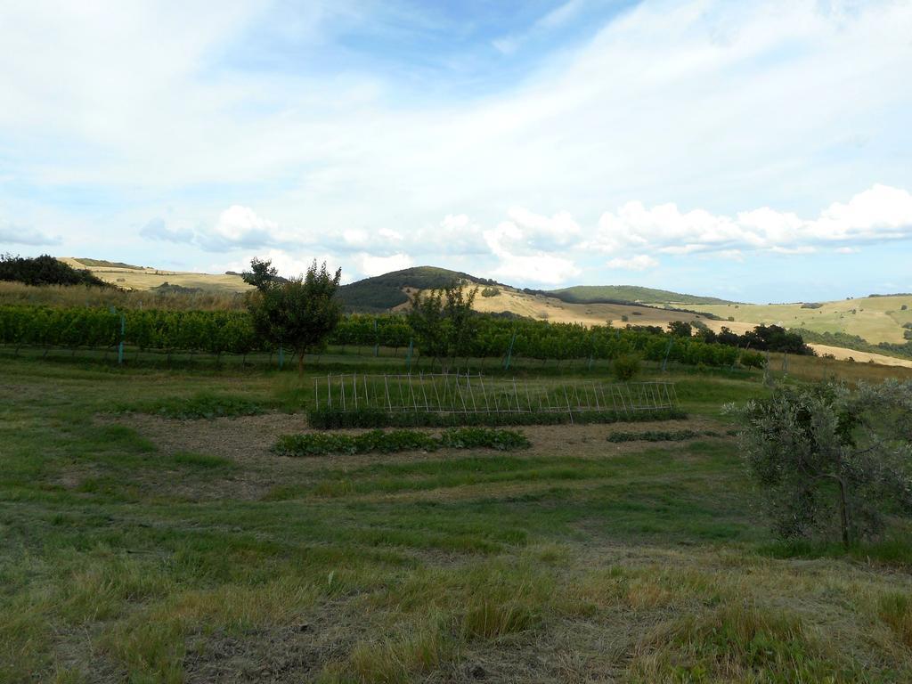 Agriturismo Santa Bruna Volterra Eksteriør bilde