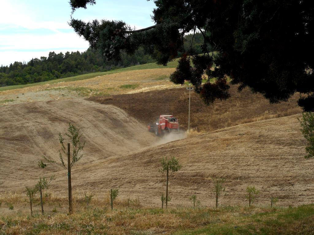 Agriturismo Santa Bruna Volterra Eksteriør bilde