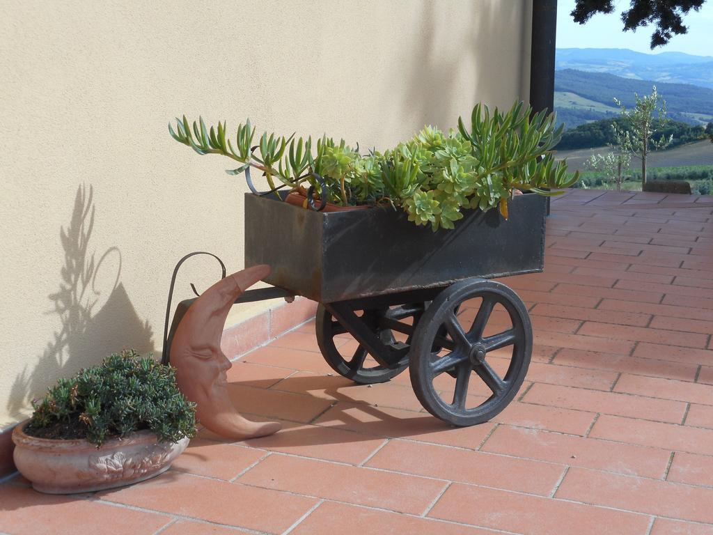 Agriturismo Santa Bruna Volterra Eksteriør bilde