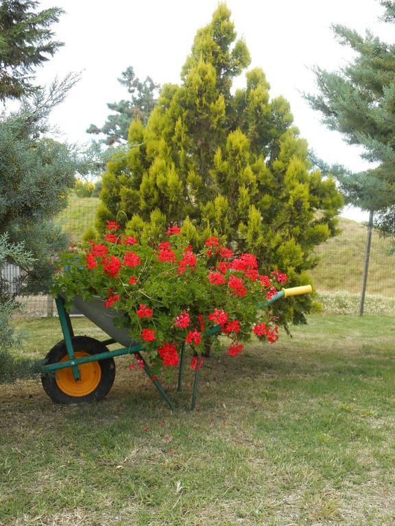 Agriturismo Santa Bruna Volterra Eksteriør bilde