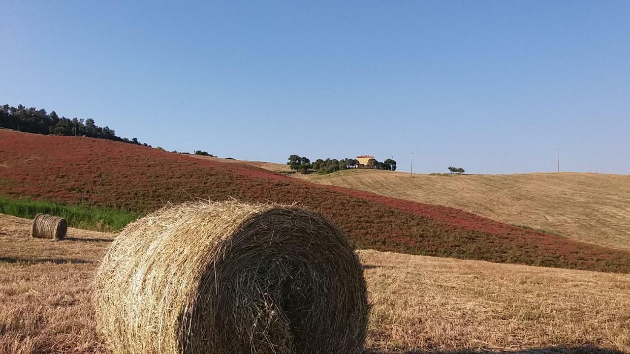 Agriturismo Santa Bruna Volterra Eksteriør bilde